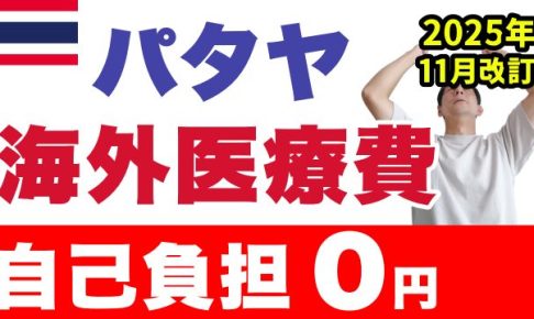 海外医療費 国民健康保険